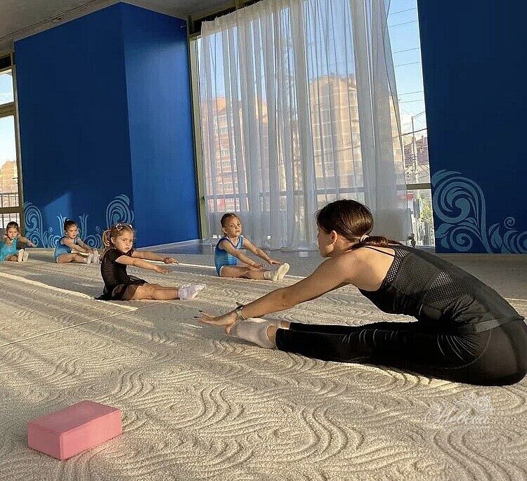 Гимнастическое упражнение